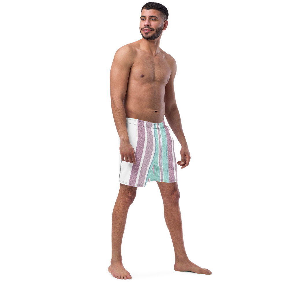 Stevie Striped DUDE Swim Trunks - Image 3